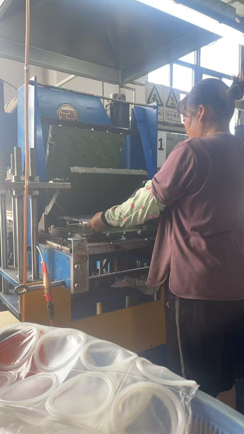 Dual-Layer Automatic Mold Technology Boosts Production Efficiency for Precision Rubber Seals